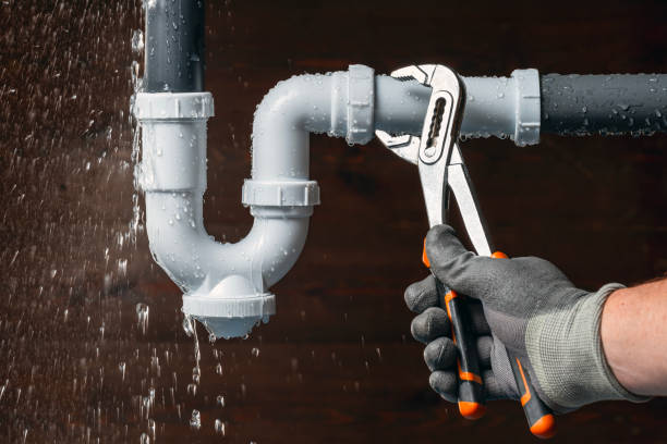 Professional Plumbing technician working in Harrisonville, PA